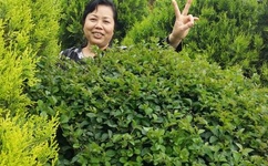 欧美 在线 另类 春色 小说